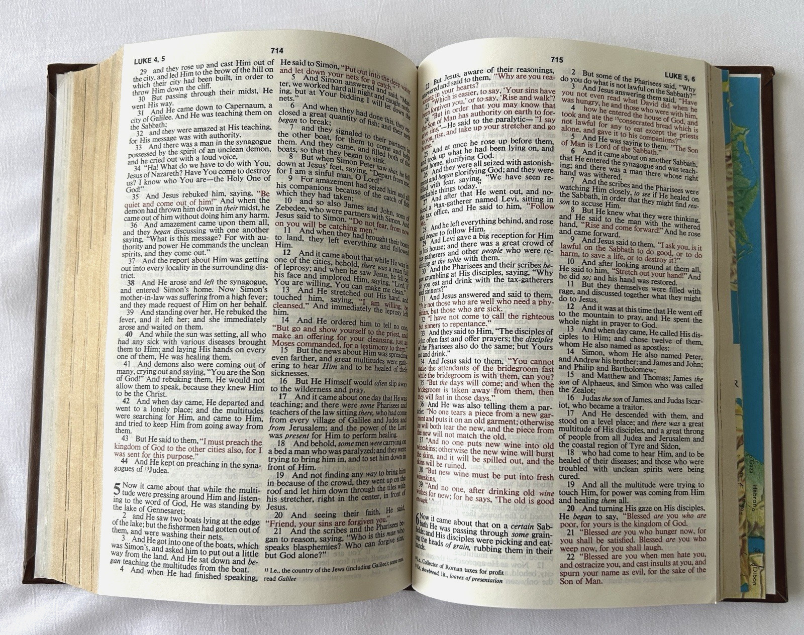 Thomas Nelse New American Standard BIBLE Text Edition Illustrated 762 BR 1977