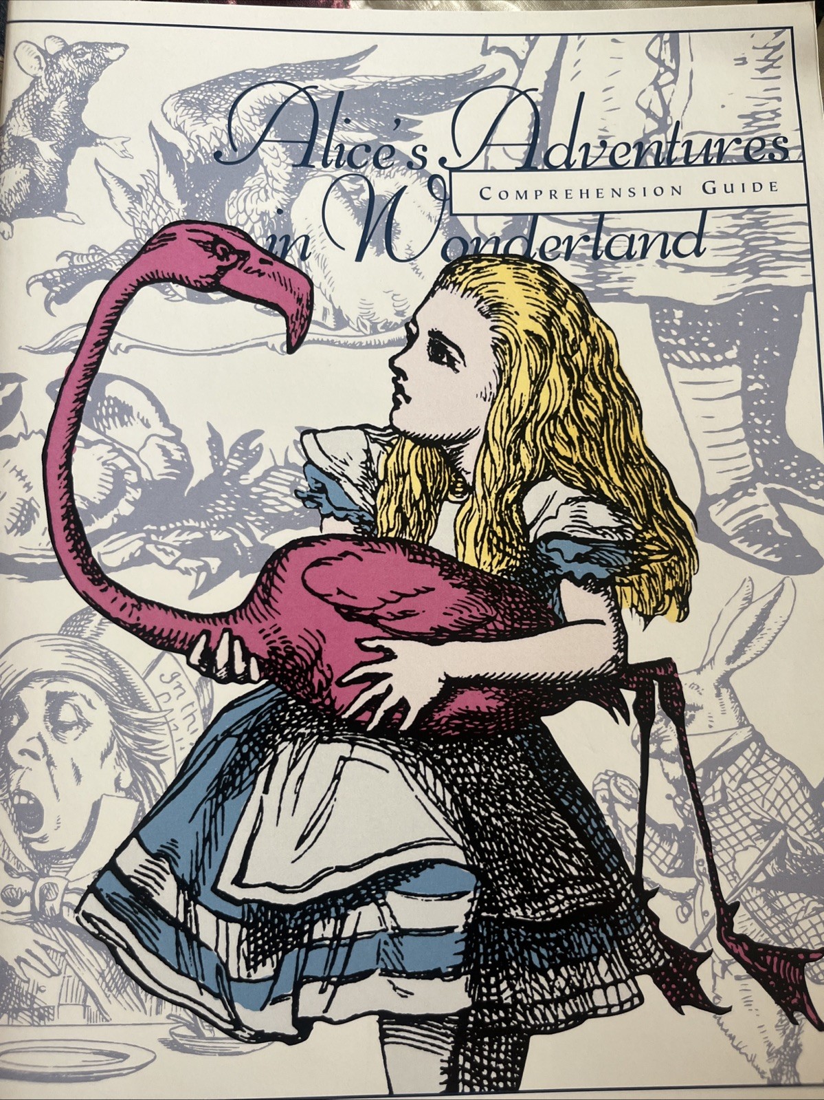 Alice in Wonderland Comprehension Guide by Ned Bustard (2004, Paperback)