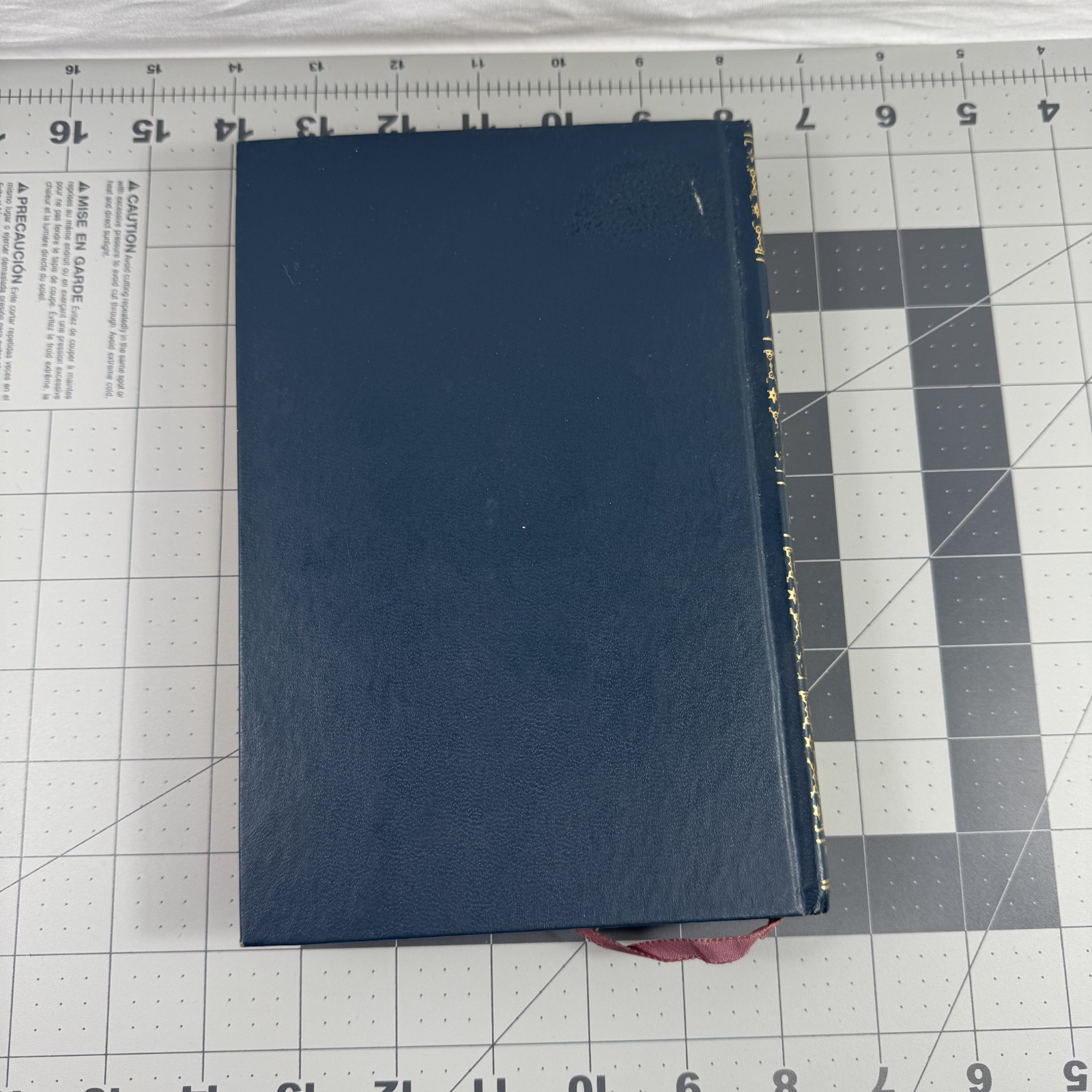 Selected Poems And Letters Of Emily Dickinson Hardcover 1959 ICL