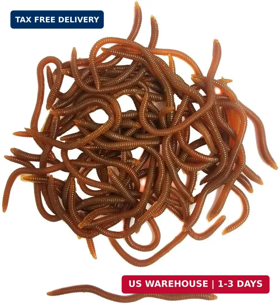 1.6in/3.3/3.9in Fishing Soft Lure Trout Worm Earthworm Bait Lifelike Fake Bloodw