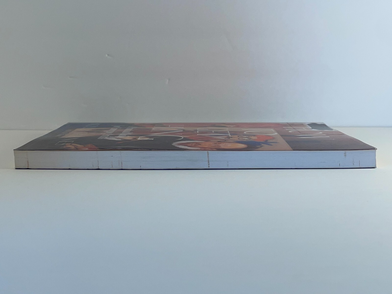 How to Get Hung Practical Guide for Arists Molly Barnes 1994 Pbk Ex-Lib First Ed