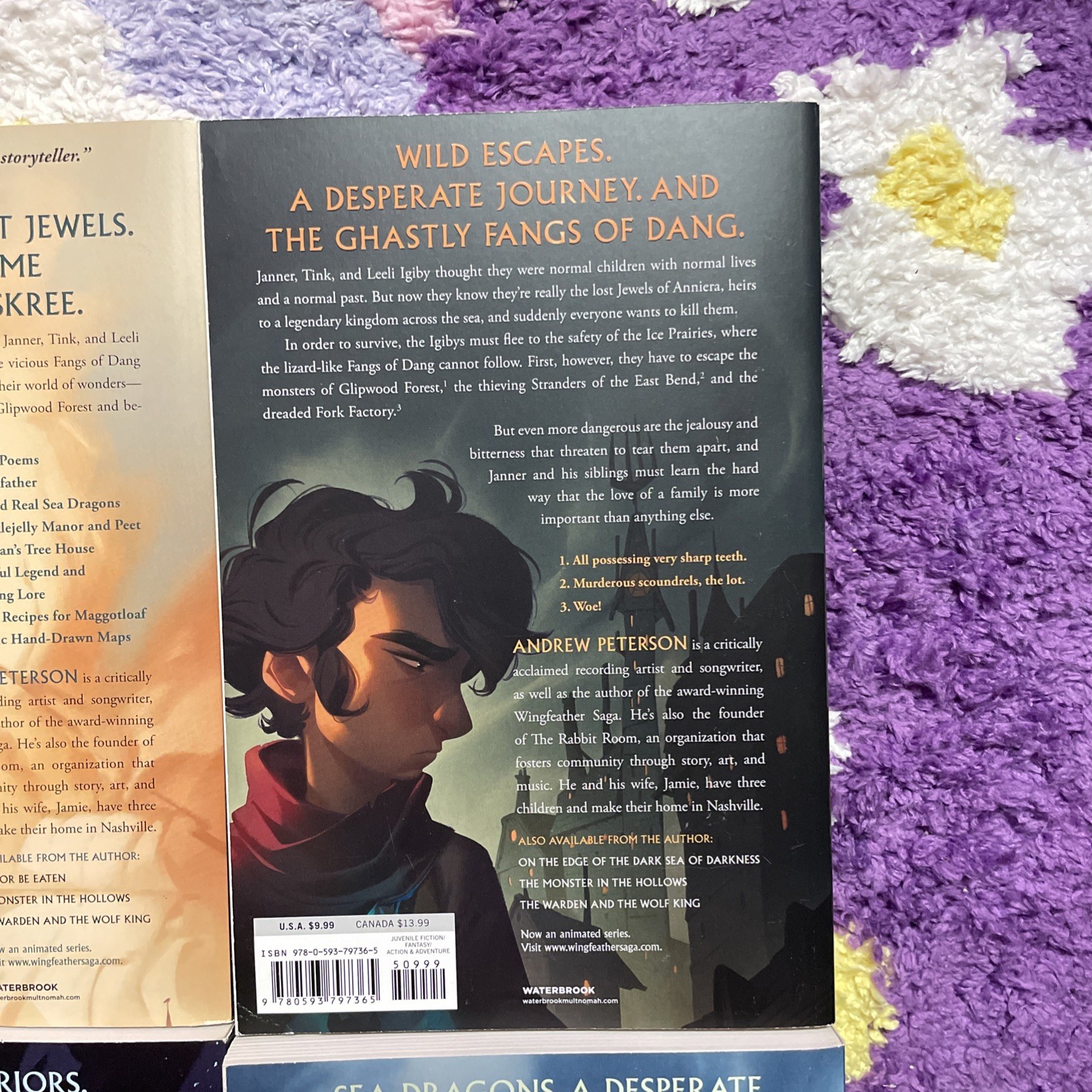 THE WINGFEATHER SAGA Boxed Set Books 1-4 by Andrew Peterson Paperback Fantasy