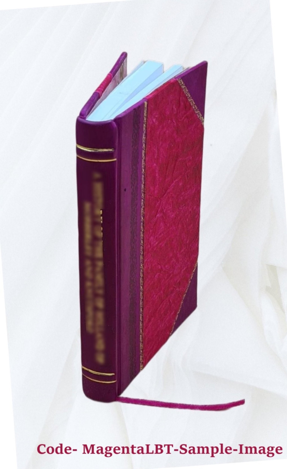 1862 — Emancipation Day — 1884. The Negro As A Political Probl [Leather Bound]