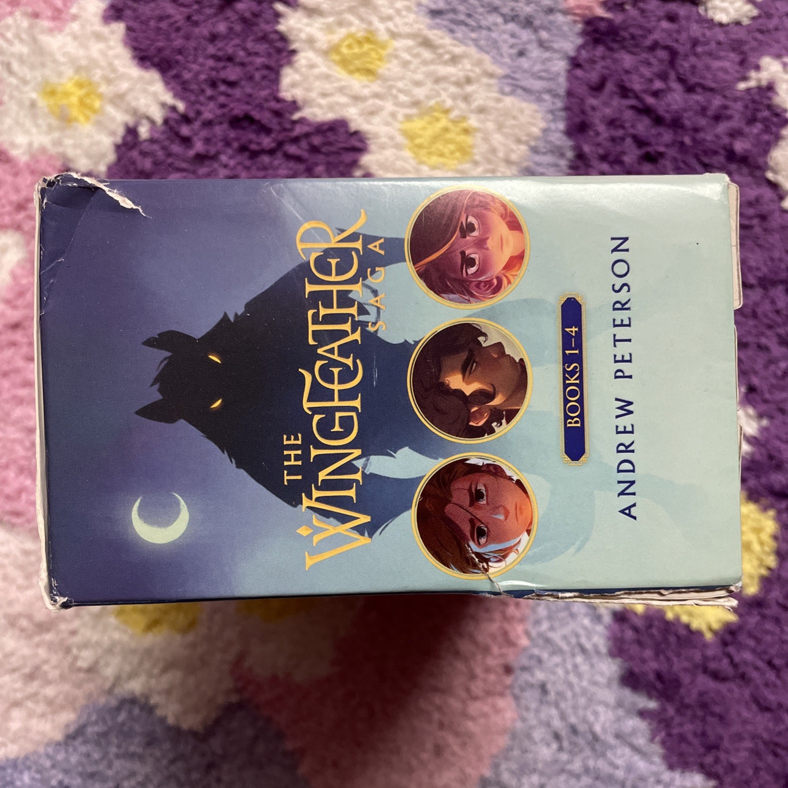THE WINGFEATHER SAGA Boxed Set Books 1-4 by Andrew Peterson Paperback Fantasy
