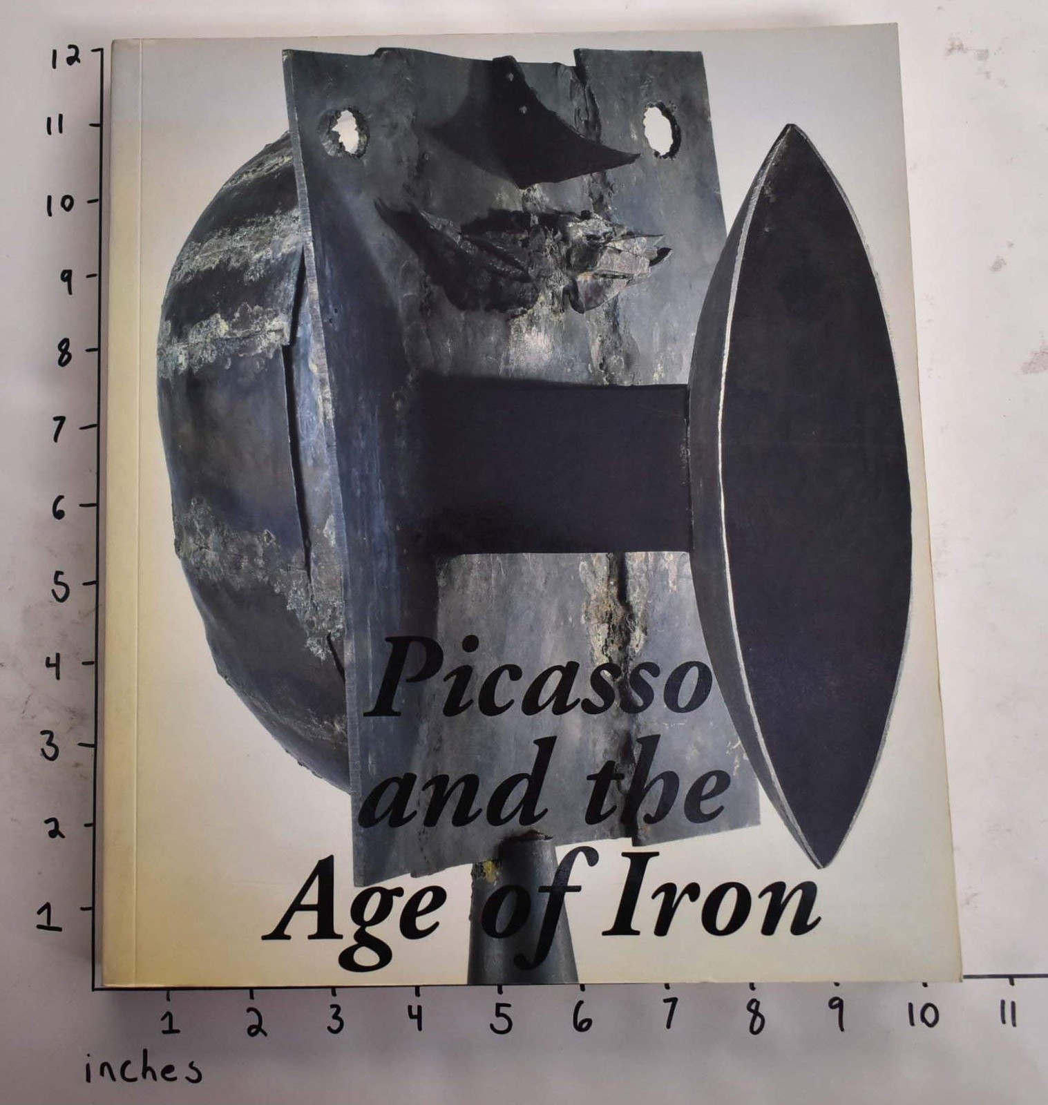Picasso and the age of iron – paperback Solomon R. Guggenheim Museum;Ashton,…