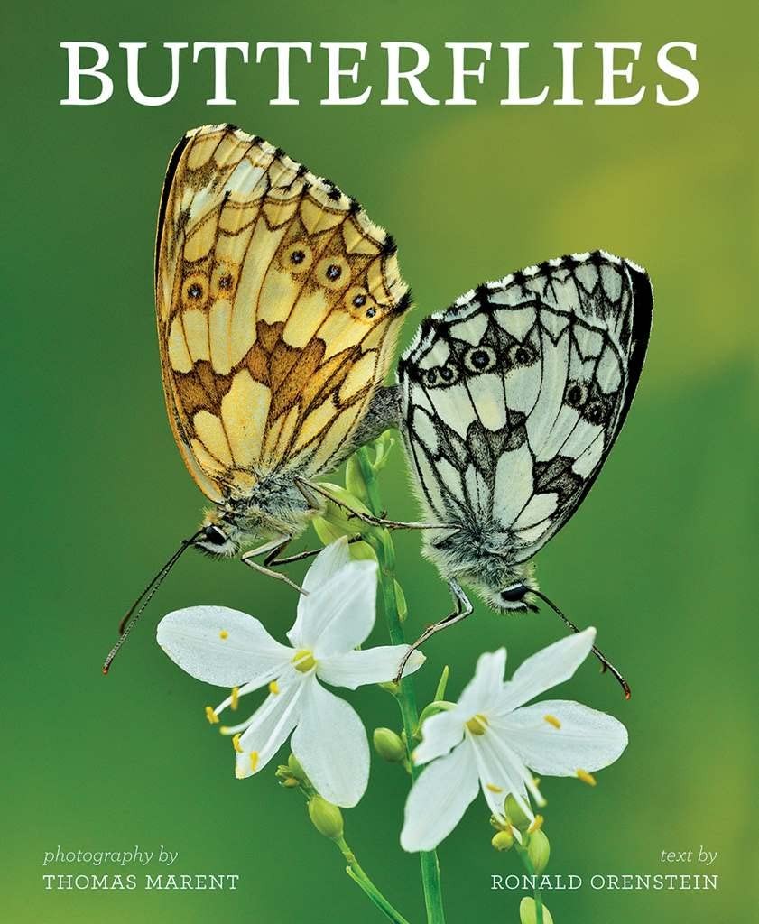 Butterflies – hardcover Orenstein, Ron|Marent, Thomas