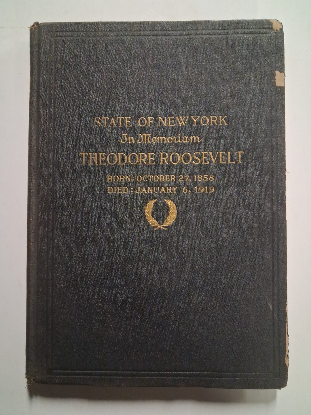 1919 Theodore Roosevelt TEDDY State Of New York Memoriam Book