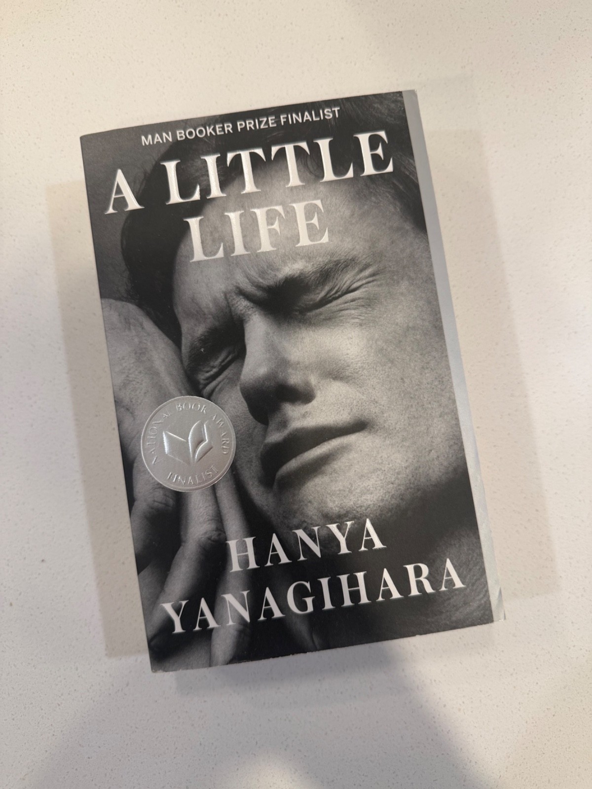 Little Life by Hanya Yanagihara (2016, Trade Paperback)