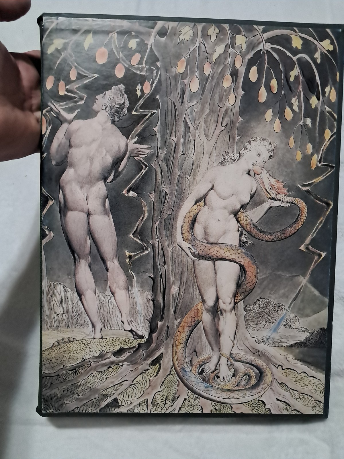 Folio Society Milton, Paradise Lost, illustrated William Black, & slipcase