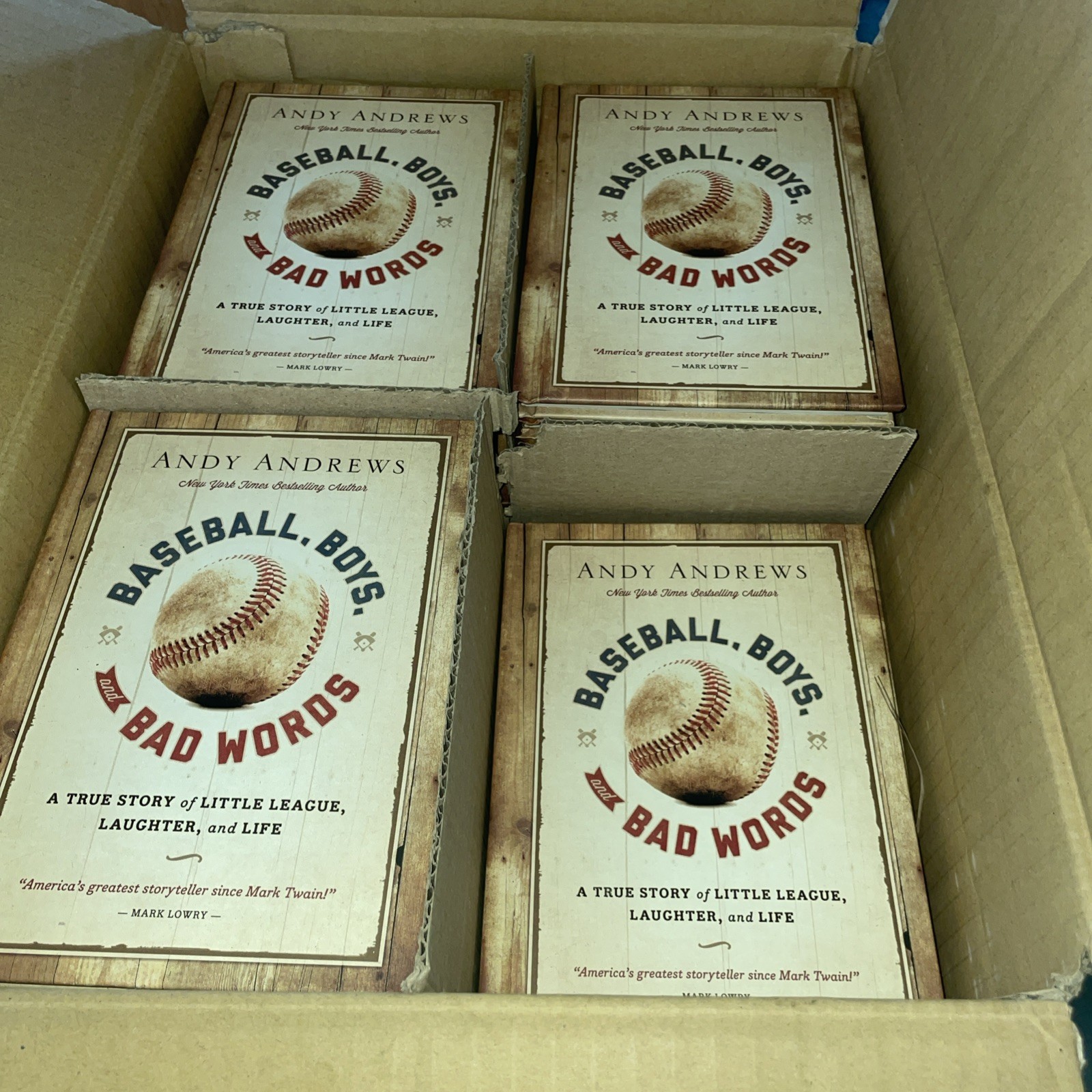 Baseball, Boys, and Bad Words by Andy Andrews (2013, Hardcover)