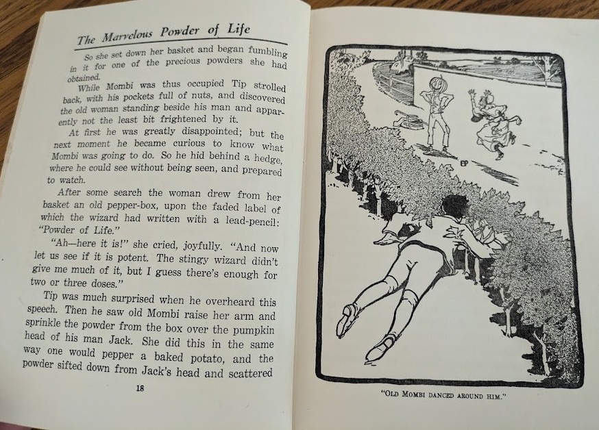 The Land of Oz L Frank Baum Reilly & Lee 1932 Hardcover, Sequel Wizard of Oz