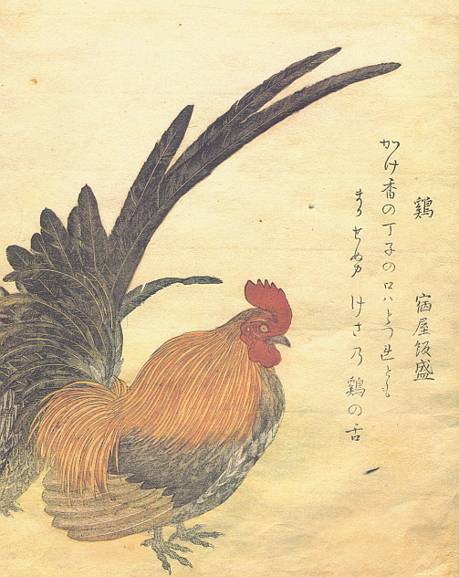 Utamaro (1753-1806) Color Illustrations Birds Accordion Fold-Out Binding 1981