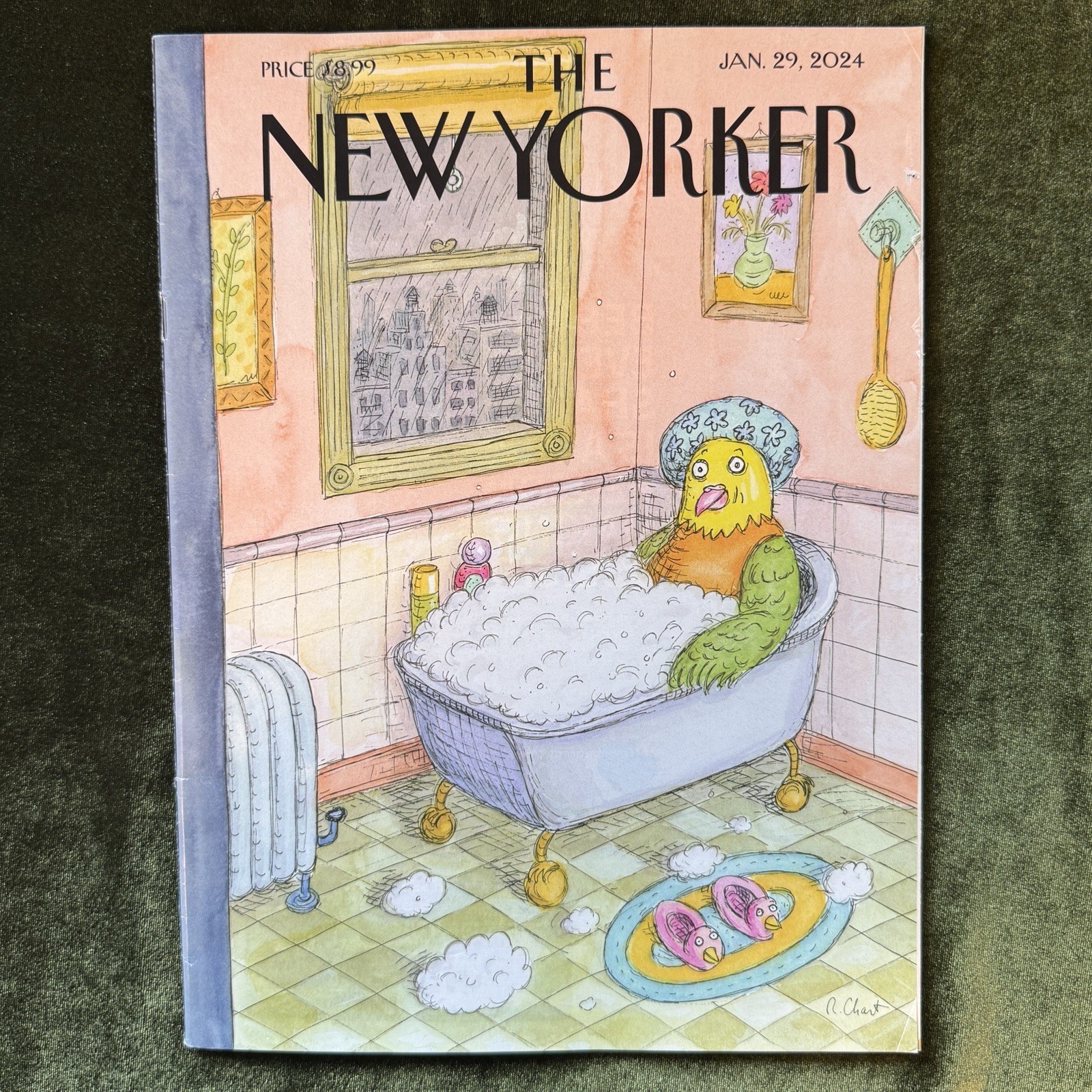 January 29, 2024~~~The New Yorker~~~VERY GOOD~~~Cover by Roz Chast🐇”Bird Bath”