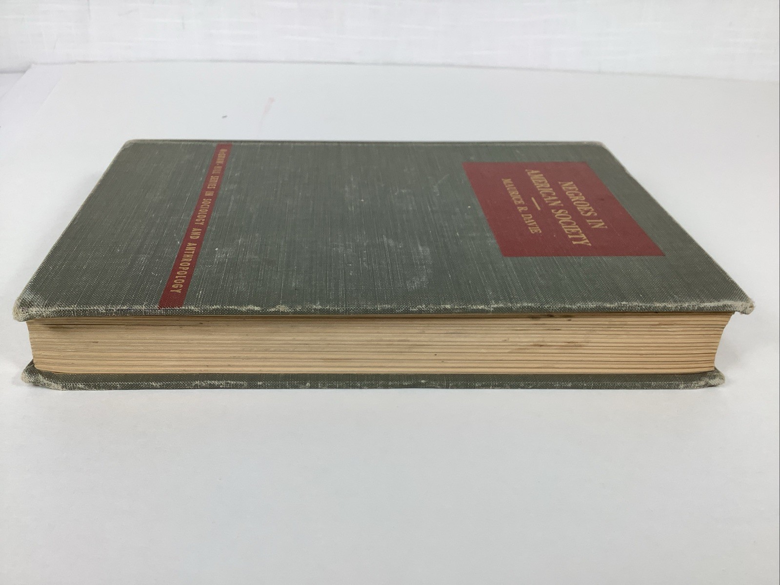 Negroes In American Society Maurice R. Davie McGraw Hill 1949 [HARDCOVER] 1st Ed